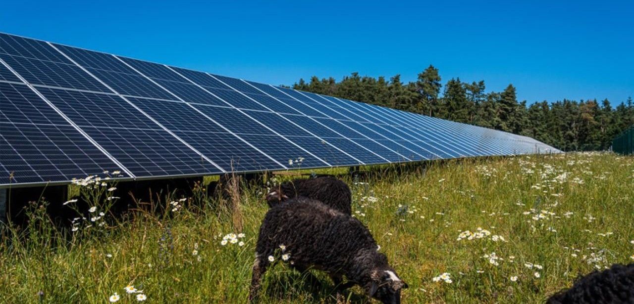 ABO Energy sichert EEG-Zuschläge für drei Solarparks 50 (Foto: ABO Energy GmbH & Co. KGaA)