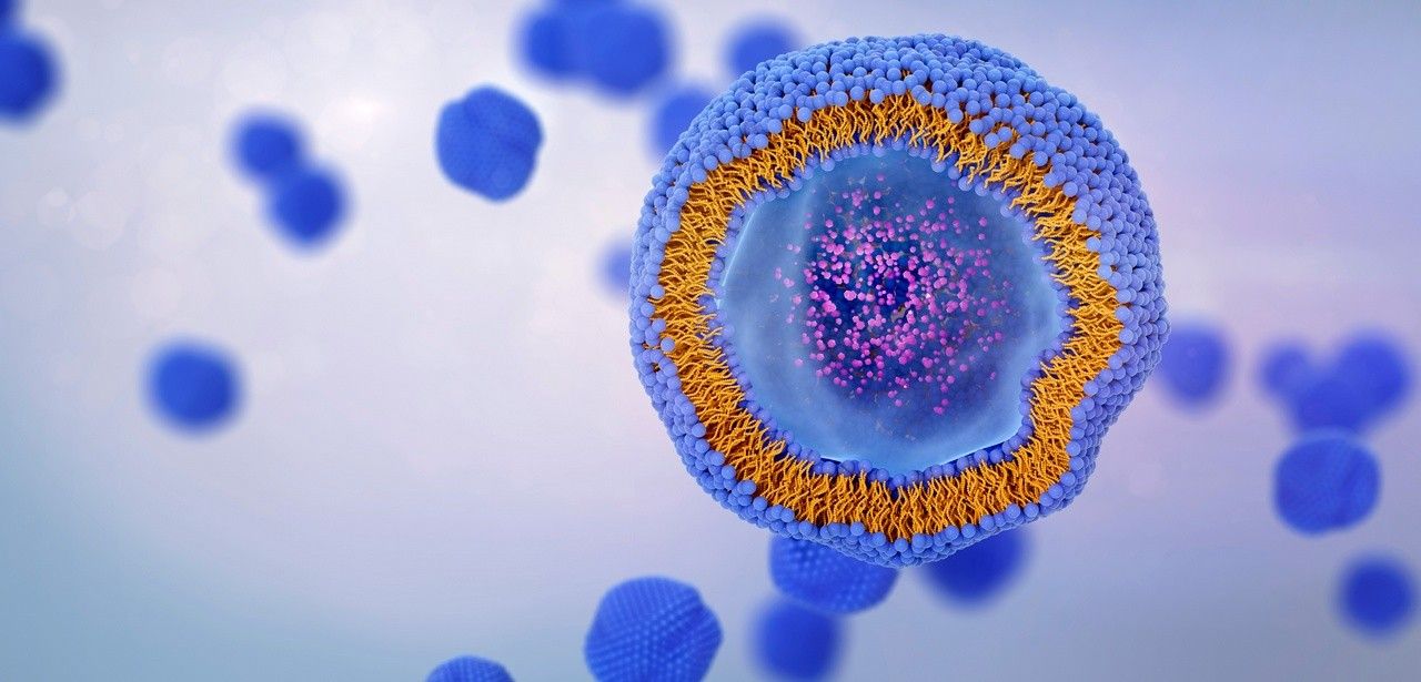 BMWK fördert BASE-Lipid-Initiative mit 13 Millionen Euro für (Foto: AdobeStock - TuMeggy - 839730862)